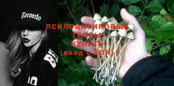 прущий лед Богородицк