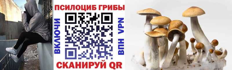 Галлюциногенные грибы мухоморы  цены   Дагестанские Огни 